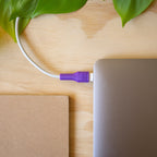 Set Protector USB-C - FackMac