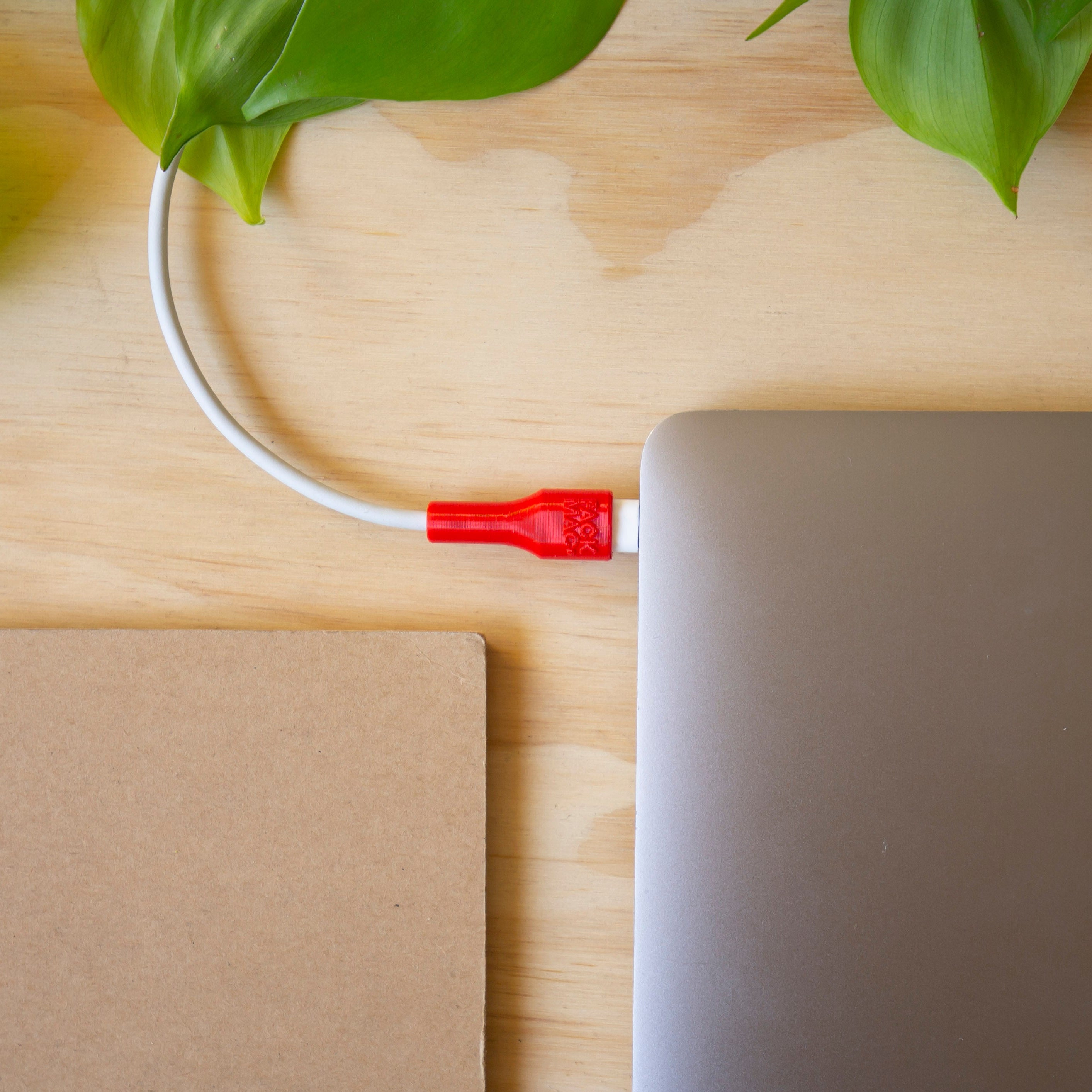 Set Protector USB-C - FackMac