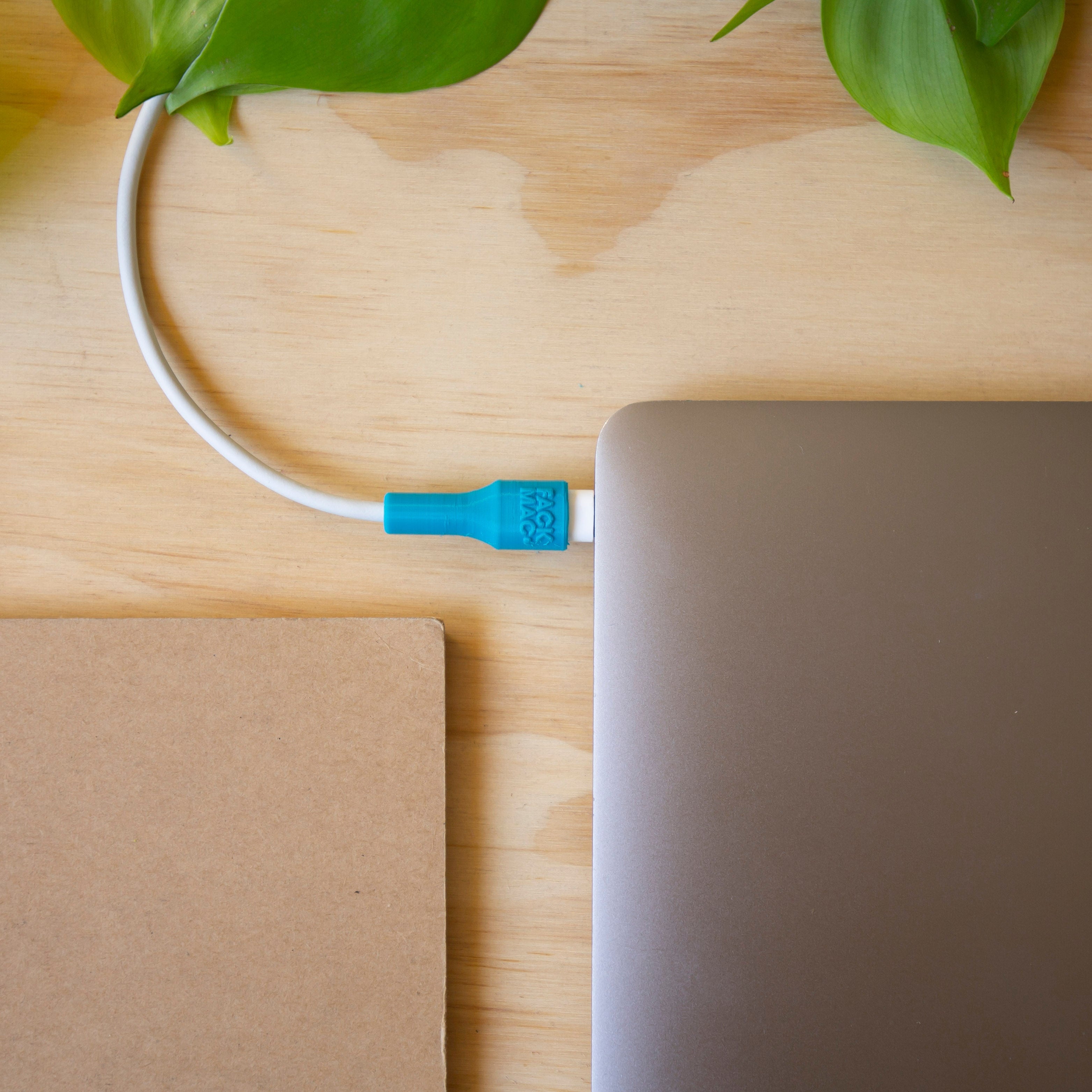 Set Protector USB-C - FackMac