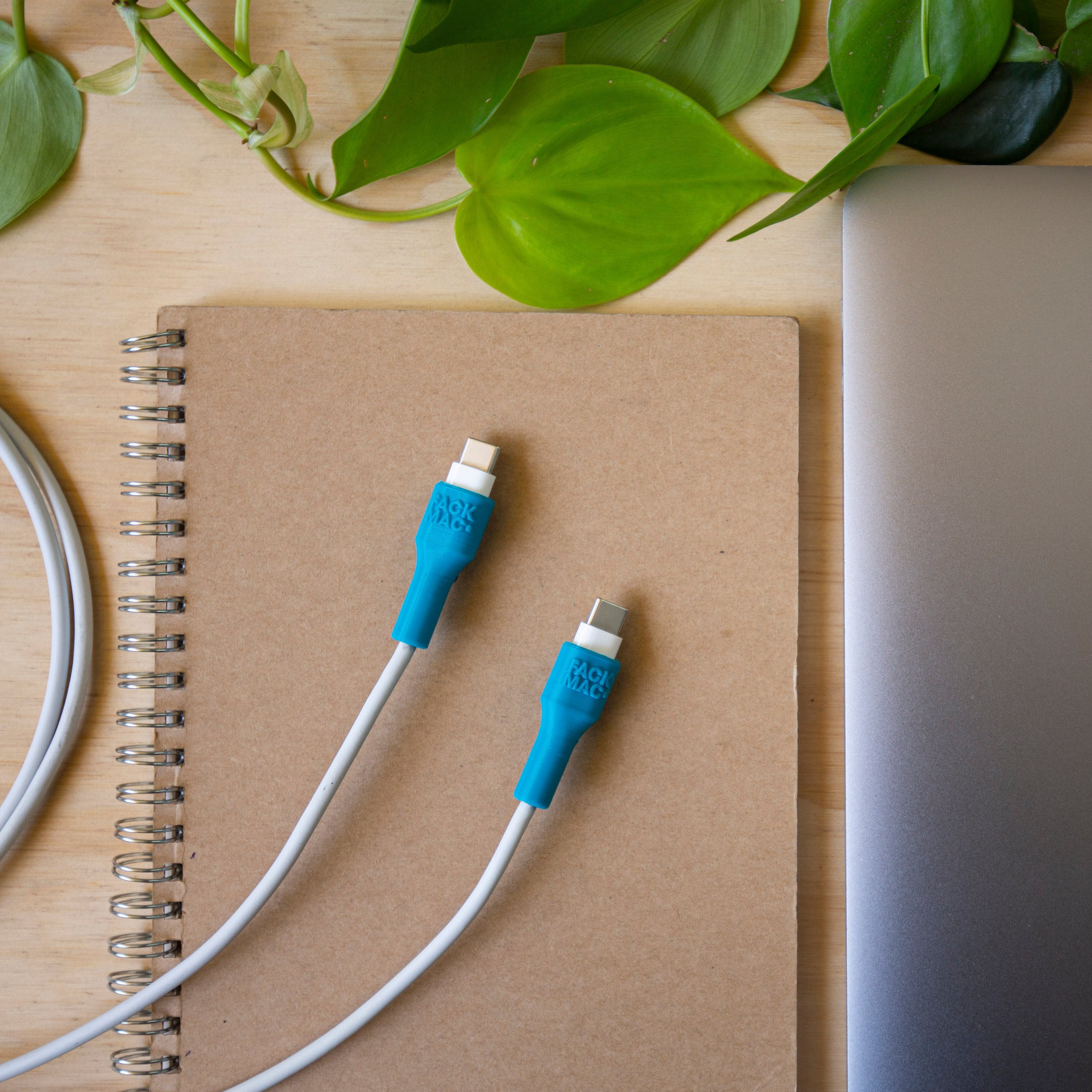 Set Protector USB-C - FackMac